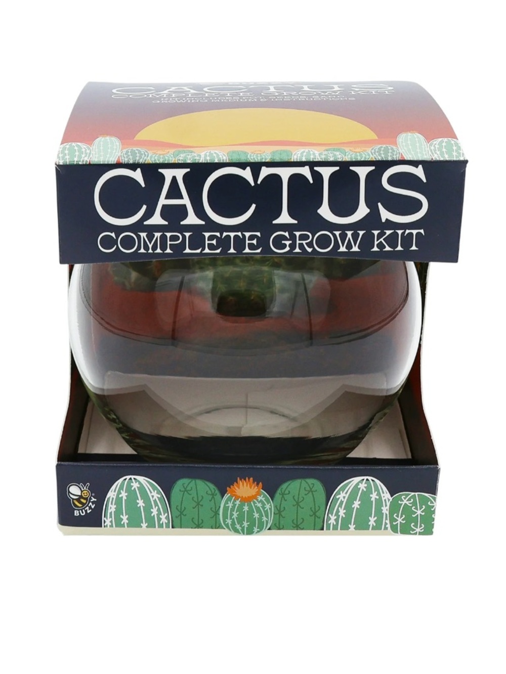Buzzy Cactus Succulent Garden Terrarium Grow Kit NWT